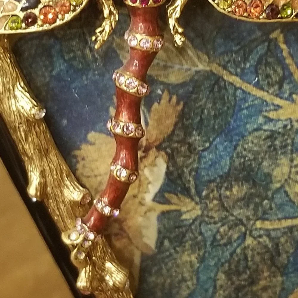 RARE JAY STRONGWATER CASSANDRA DRAGONFLY FLORA & FAUNA ENAMEL CRYSTAL FRAME